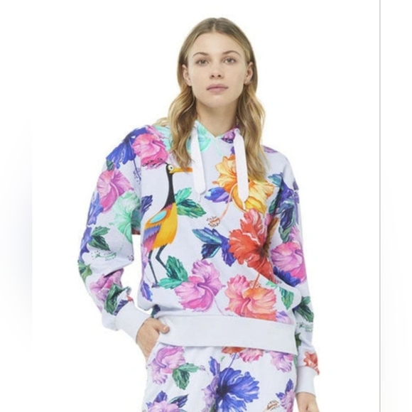 NWT Pixar×Robert Graham Paradise Falls Hoodie Multicolor Size XL - Picture 1 of 13